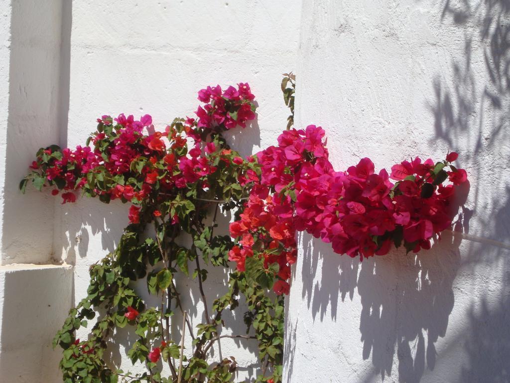 Masseria Bianca Di Puglia Monopoli Szoba fotó